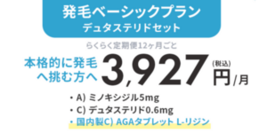 発毛ベーシックプランデュタステリドセット