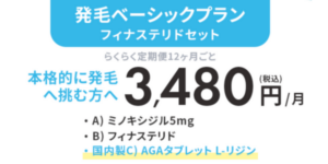 発毛ベーシックプランフィナステリドセット